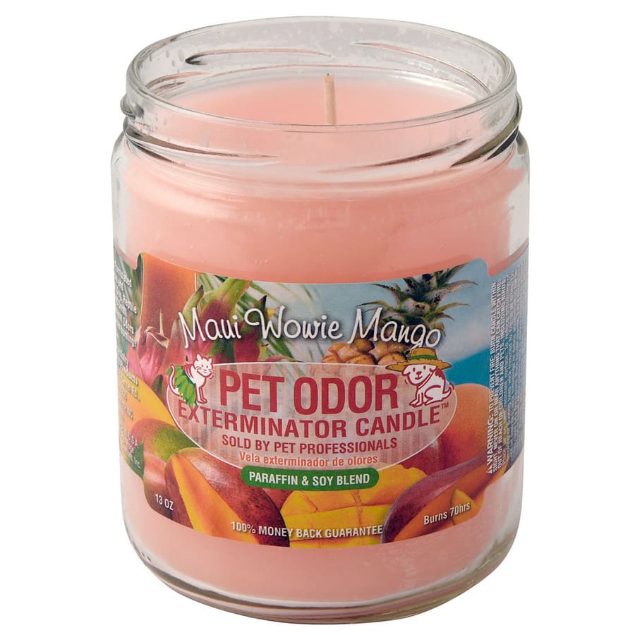 Smoke Odor 13oz Candle - MAUI WOWIE MANGO Smoke Odor Candle